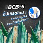 ต้น Tampico กับอุปกรณ์ล้างจักรยาน Park Tool BCB-5