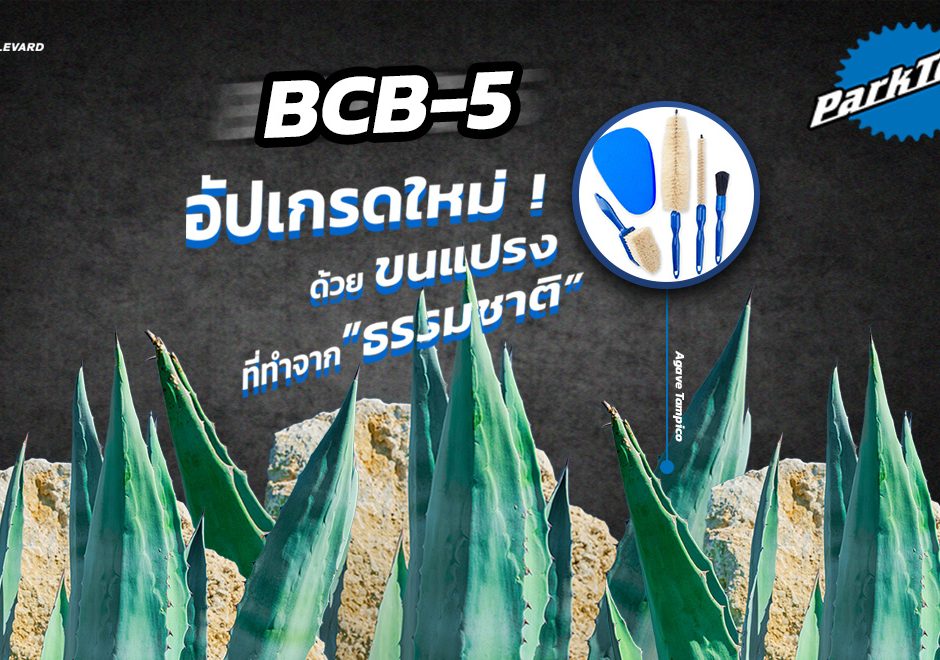 ต้น Tampico กับอุปกรณ์ล้างจักรยาน Park Tool BCB-5