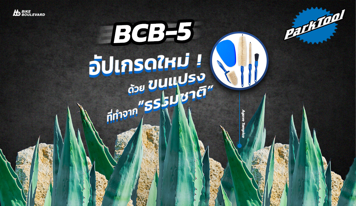 ต้น Tampico กับอุปกรณ์ล้างจักรยาน Park Tool BCB-5